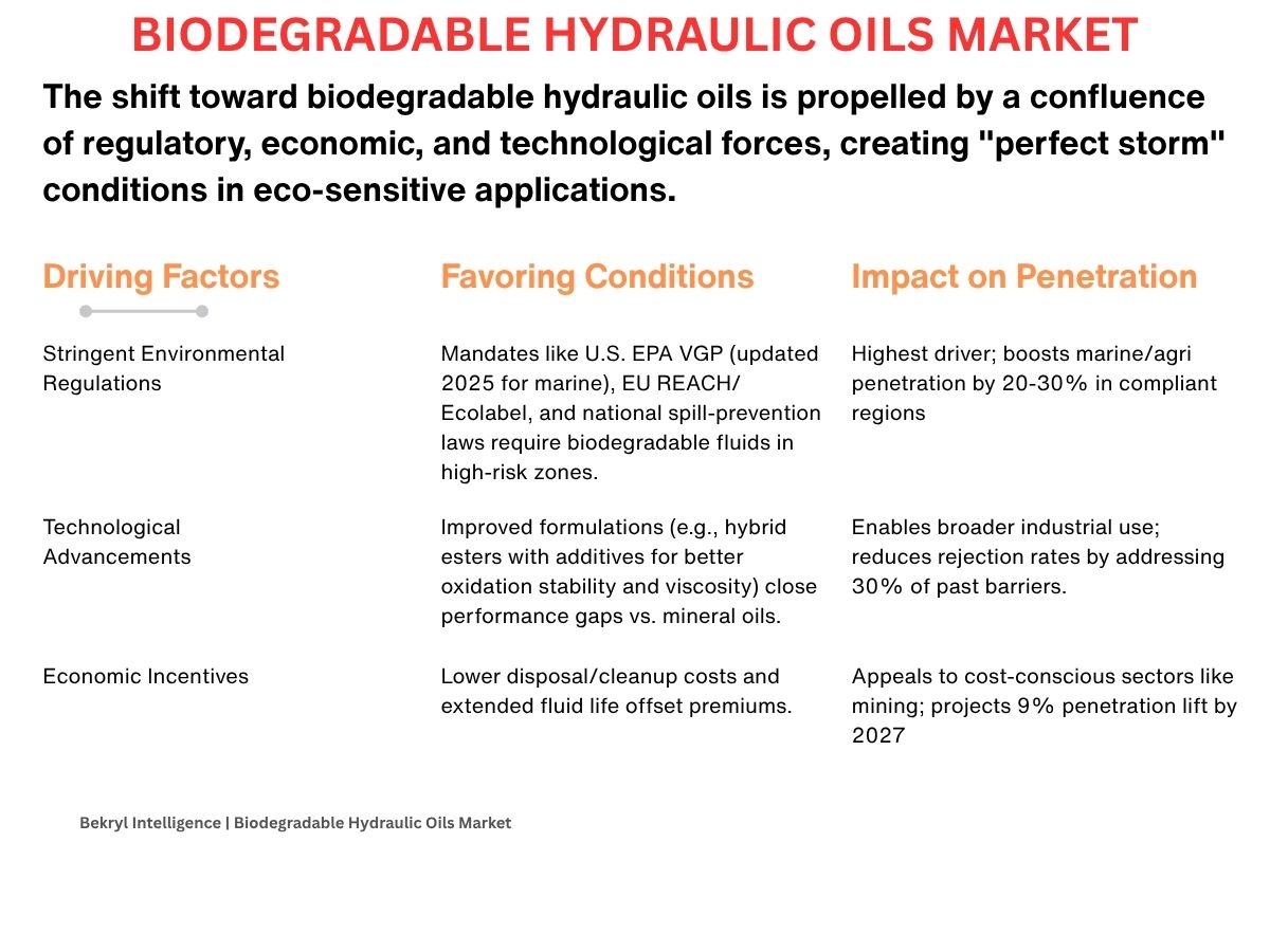 Biodegradable Hydraulic Oils Market: Global Strategic Industry Review 2025