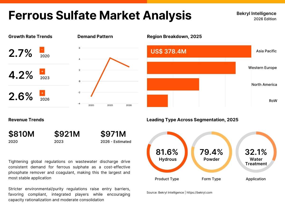 global ferrous sulfate market size overview and segment analysis