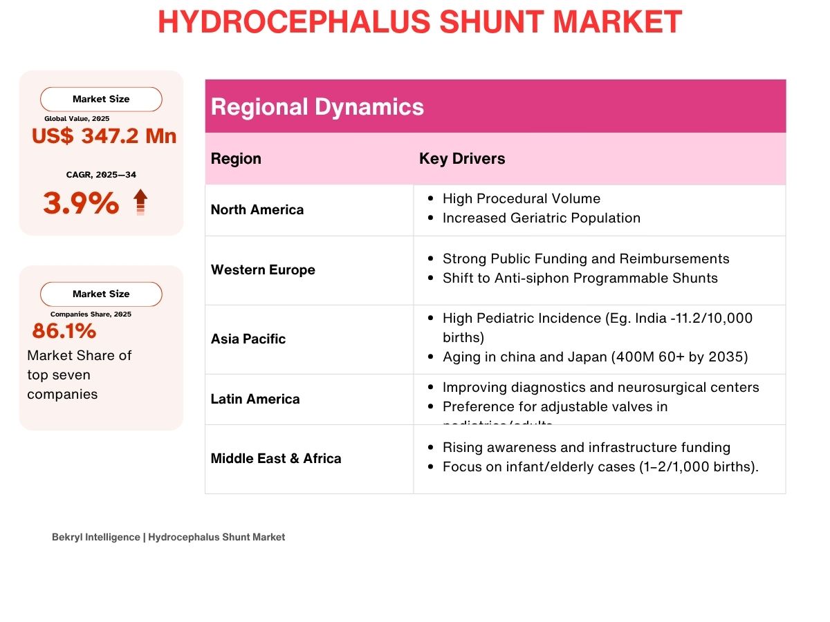 Hydrocephalus Shunt Market: Global Strategic Industry Review 2025
