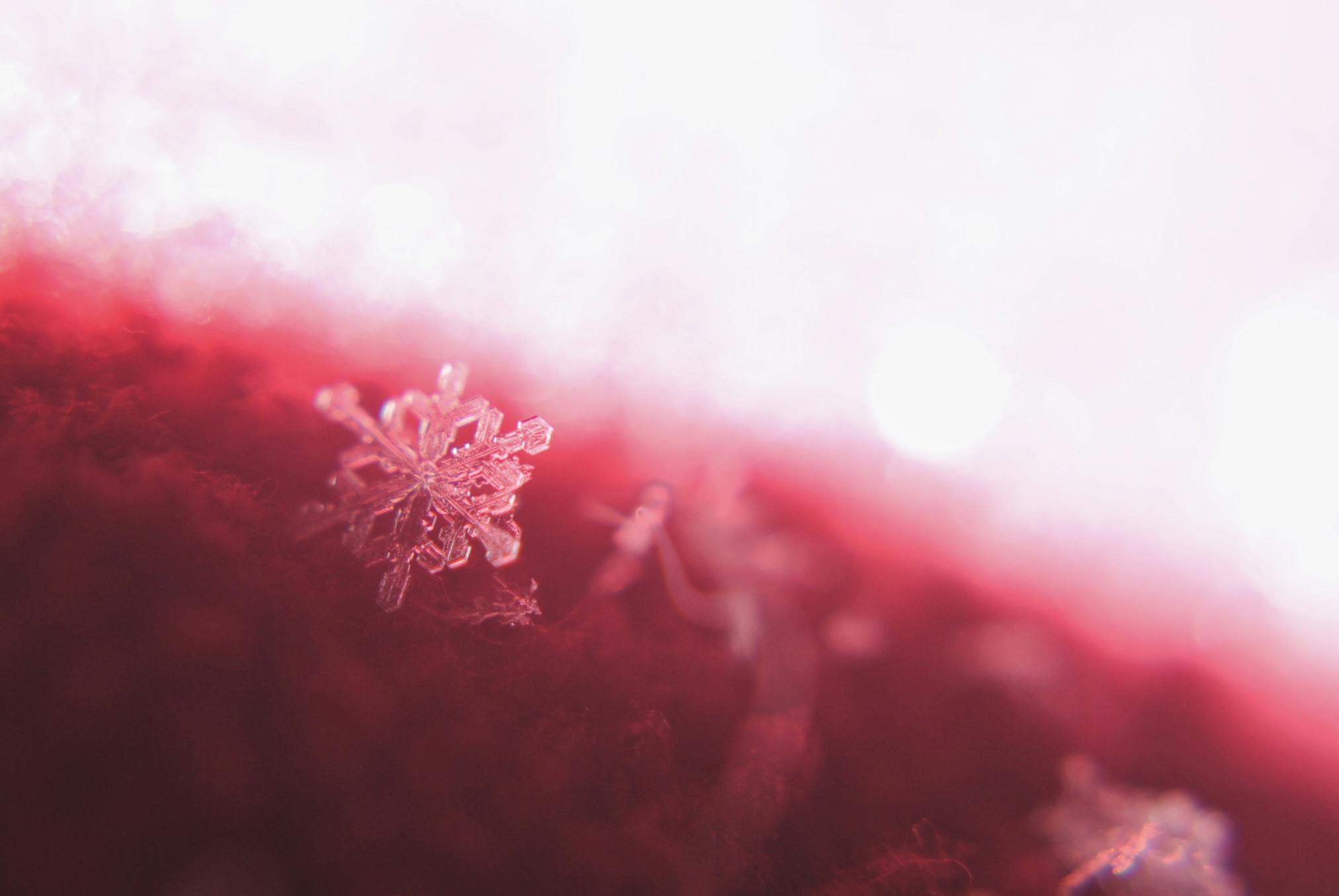Default banner image